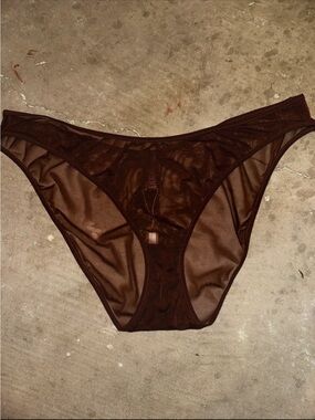 Skims ultra fine mesh bikini underwear plus size 4X